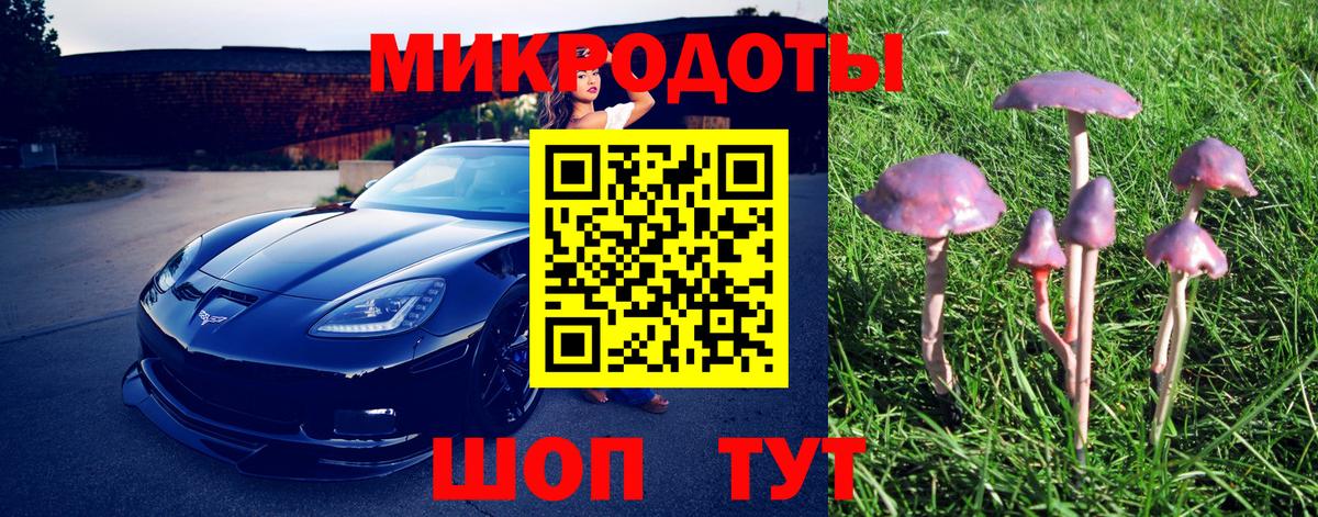 Серов  Псилоцибиновые грибы Cubensis  где можно купить наркотик  Вход с VPN 