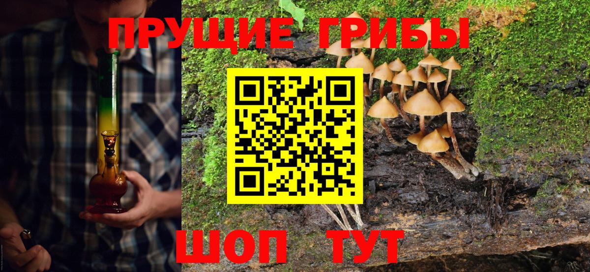 Псилоцибиновые грибы прущие грибы Серов